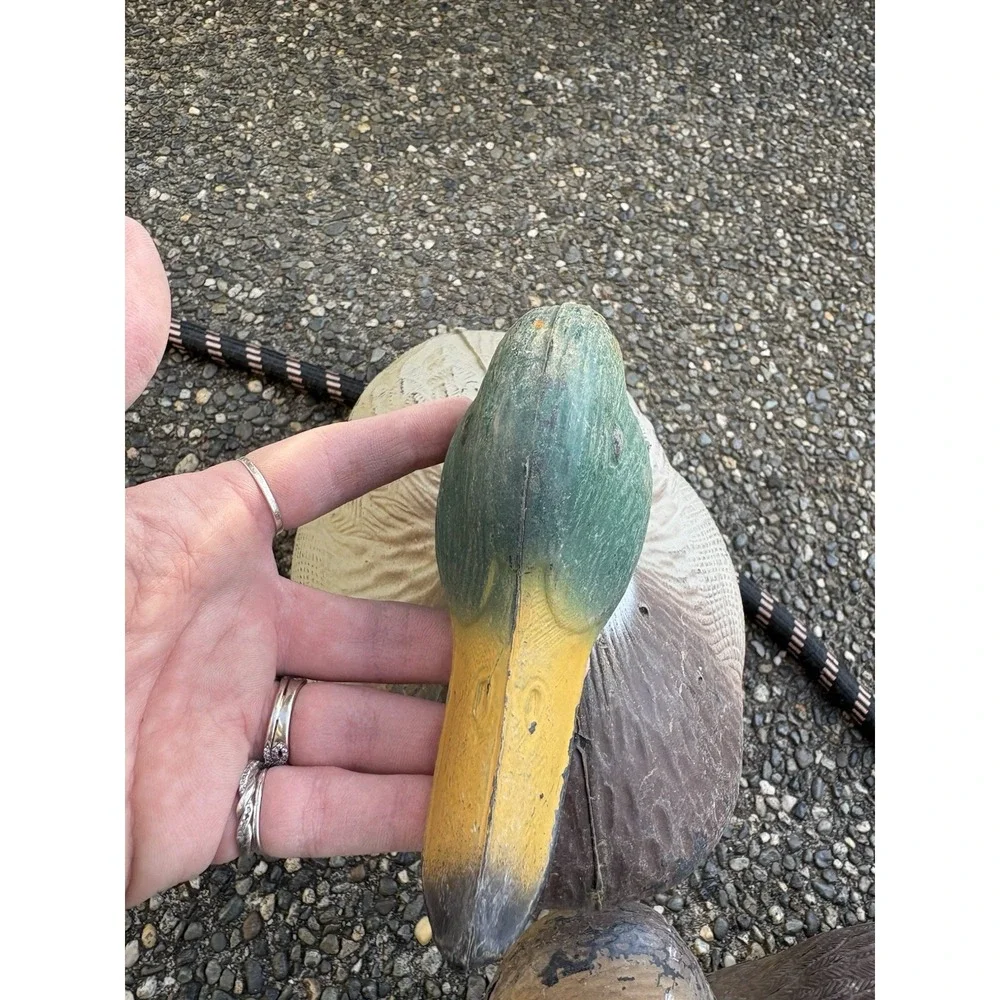 Mallard Drake‎ Duck Floating Decoy Shot Decor
